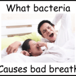 What bacteria causes bad breath image