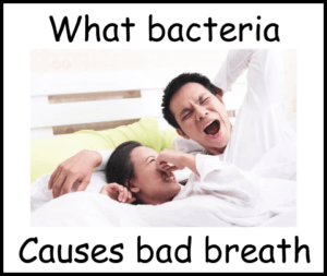 What bacteria causes bad breath image